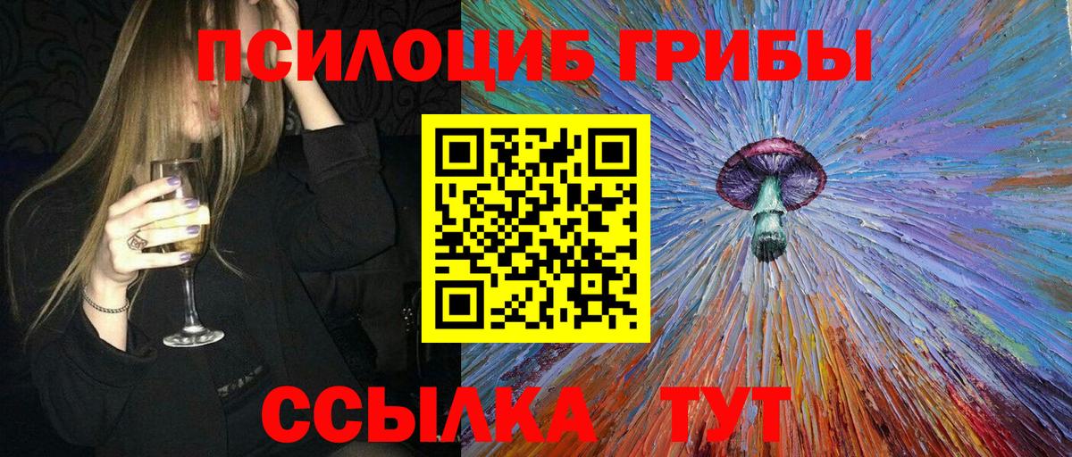 цены наркотик  Галлюциногенные грибы MAGIC MUSHROOMS  Ревда  Вход с VPN  Галлюциногенные грибы Cubensis 